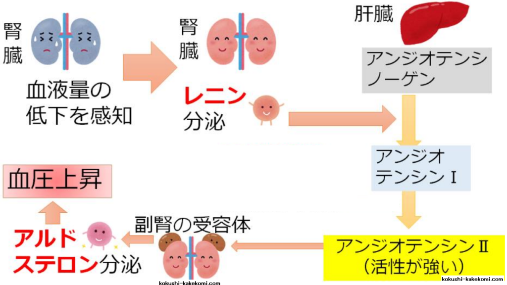 高アルドステロン症とともに生きる