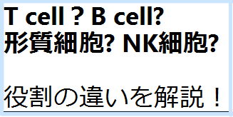 これだけは覚える リンパ球の役割 T細胞 B細胞 形質細胞 Nk細胞のちがい 国試かけこみ寺