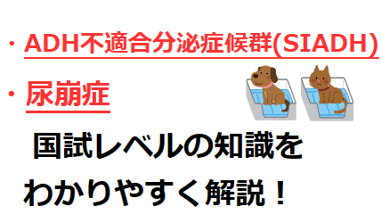 糖尿病と尿崩症またはSIADHの両方を患うことはありますか?