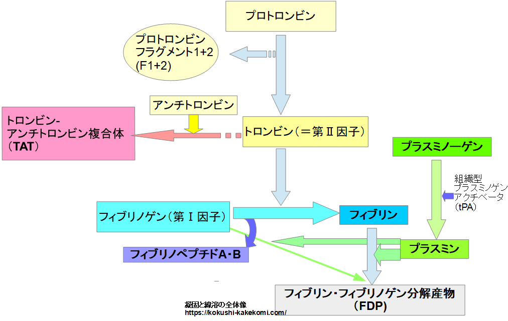 二次性凝固亢進状態の症状は何ですか?